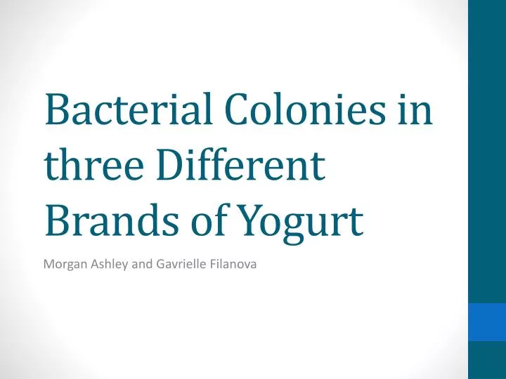 bacterial c olonies in three different brands of yogurt