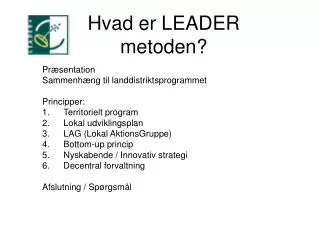 hvad er leader metoden