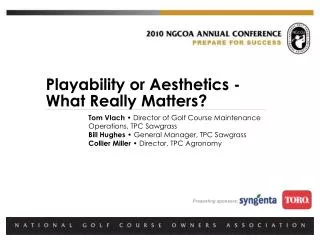 Playability or Aesthetics - What Really Matters?