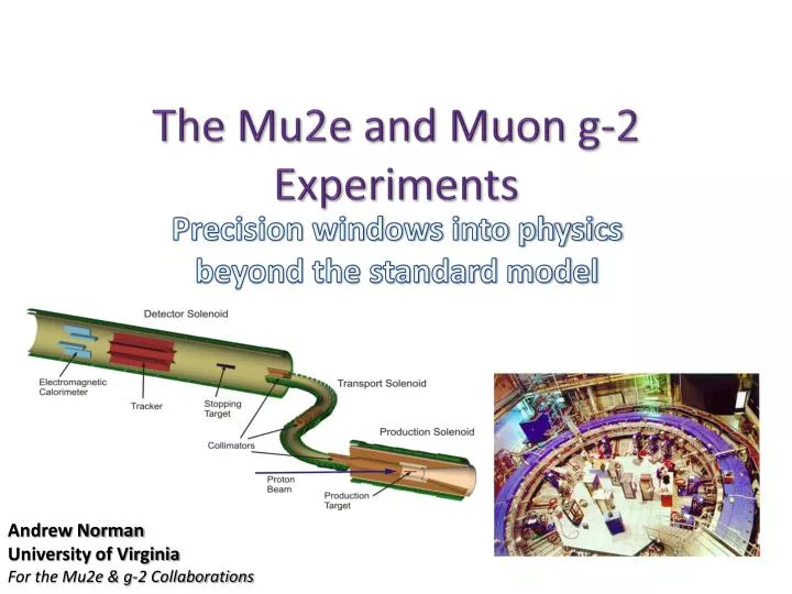 the mu2e and muon g 2 experiments