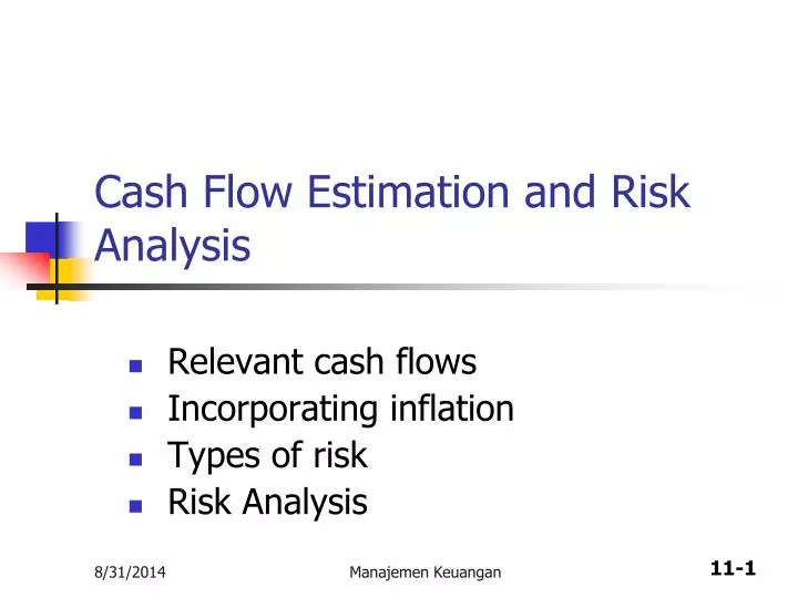 cash flow estimation and risk analysis