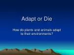 Adapt or Die - slide 1