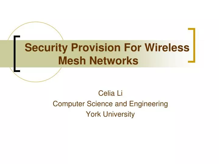 security provision for wireless mesh networks