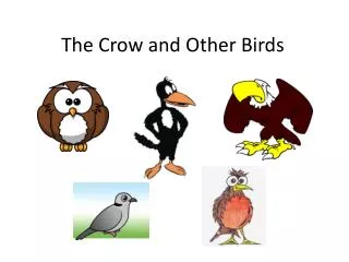 The Crow and Other Birds