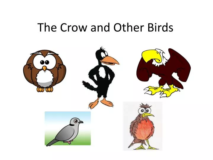 the crow and other birds