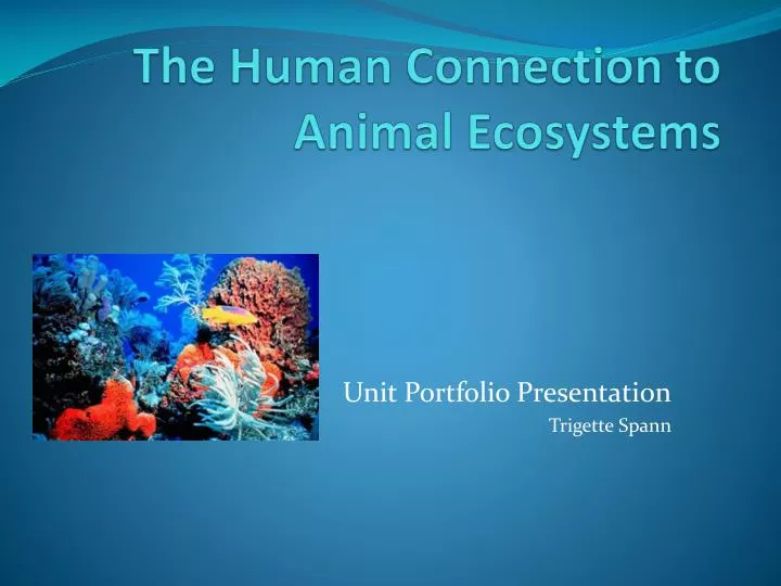 the human connection to animal ecosystems