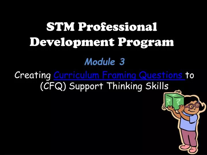 stm professional development program