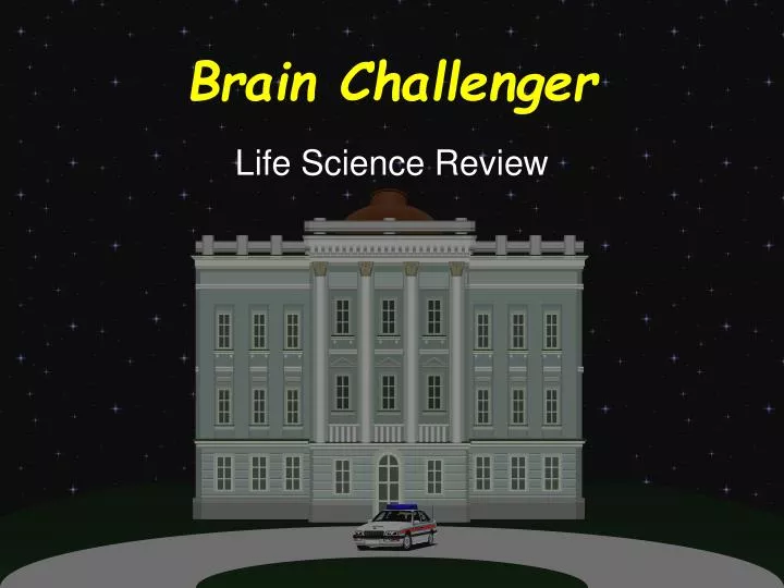 brain challenger