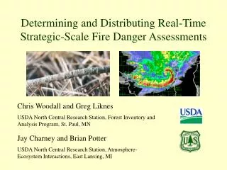 Determining and Distributing Real-Time Strategic-Scale Fire Danger Assessments