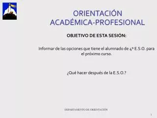 orientaci n acad mica profesional