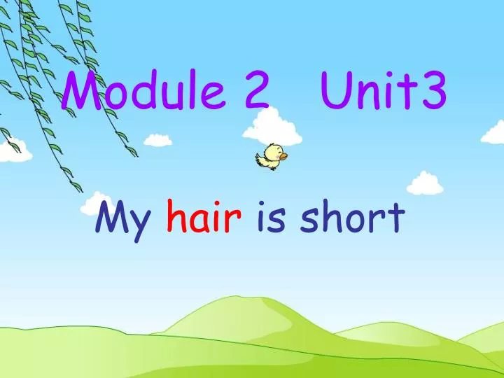 module 2 unit3