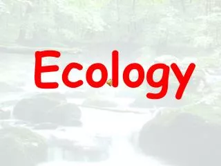 Ecology