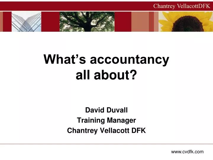 what s accountancy all about