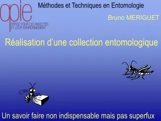 Méthodes et Techniques en Entomologie