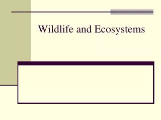 Wildlife and Ecosystems