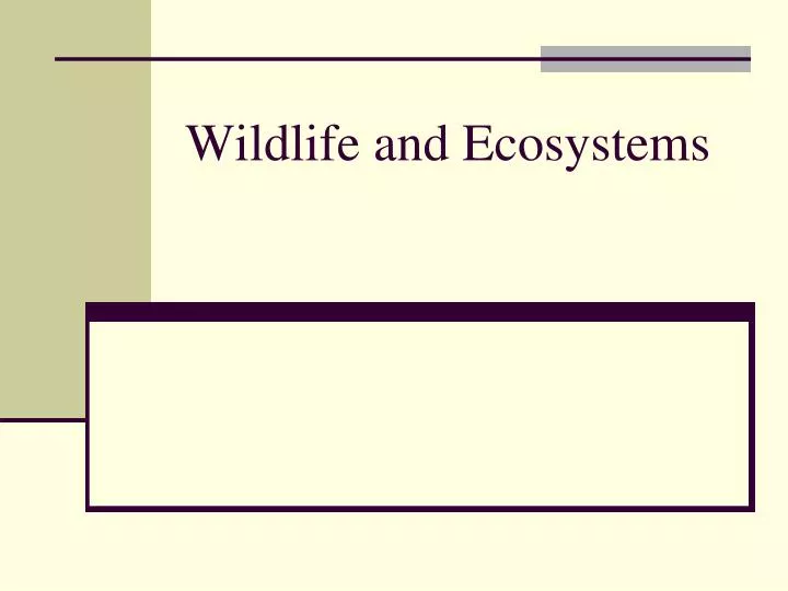 wildlife and ecosystems