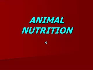 ANIMAL NUTRITION