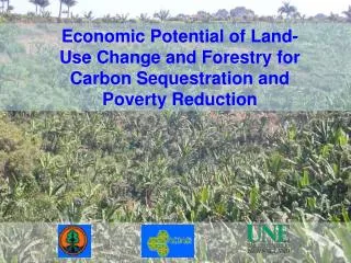 Economic Potential of Land-Use Change and Forestry for Carbon Sequestration and Poverty Reduction