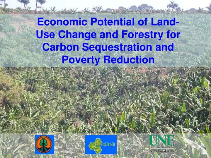 economic potential of land use change and forestry for carbon sequestration and poverty reduction