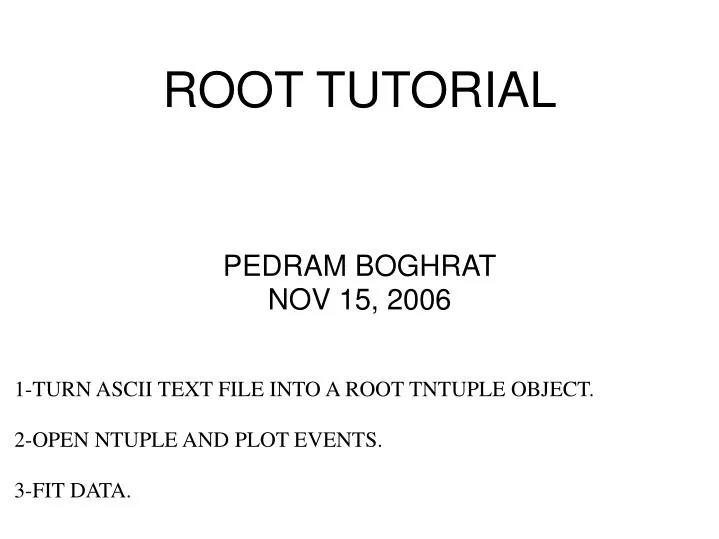 pedram boghrat nov 15 2006