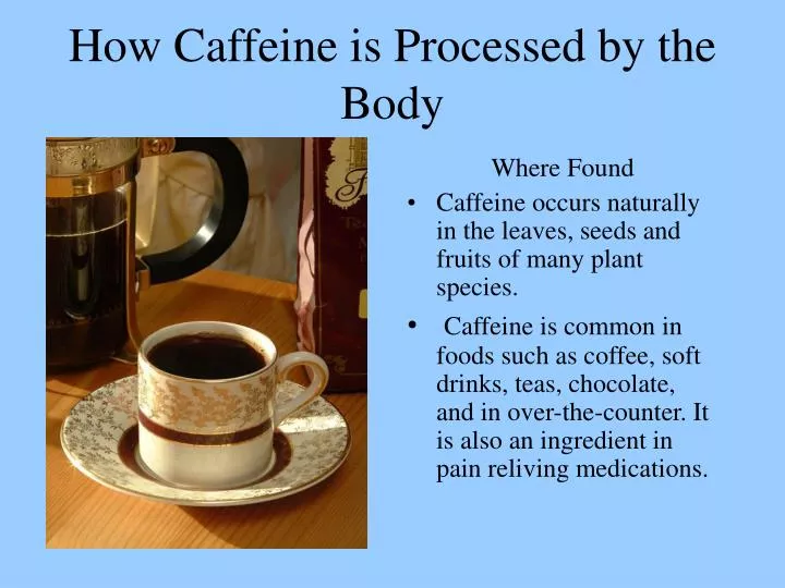 how caffeine is processed by the body