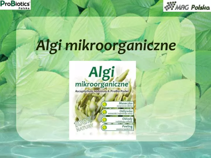 algi mikroorganiczne