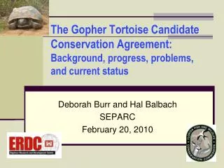 Deborah Burr and Hal Balbach SEPARC February 20, 2010