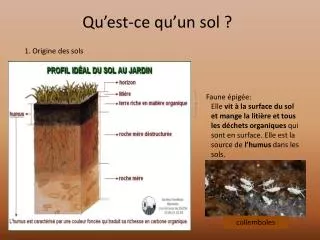 qu est ce qu un sol