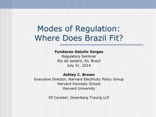 Modes of Regulation: Where Does Brazil Fit?
