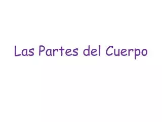 las partes del cuerpo