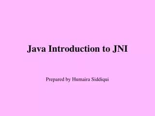 Java Introduction to JNI