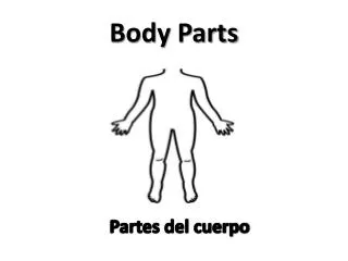 body p arts