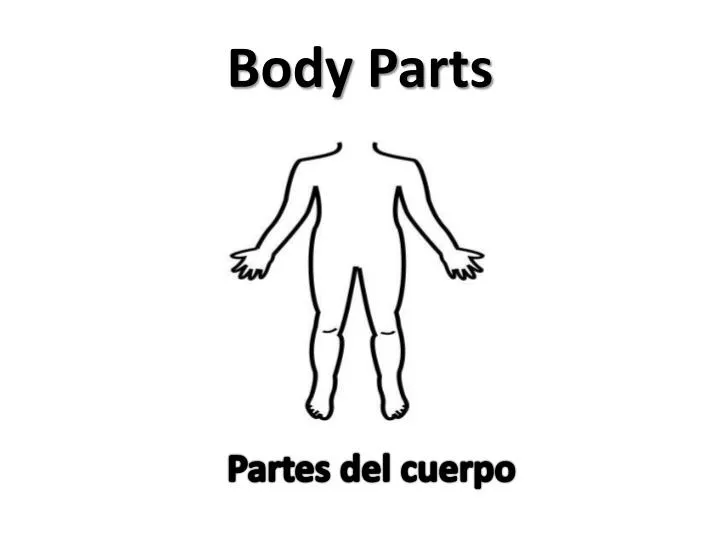 body p arts