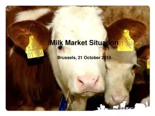 Milk Market Situation Brussels, 21 October 2010