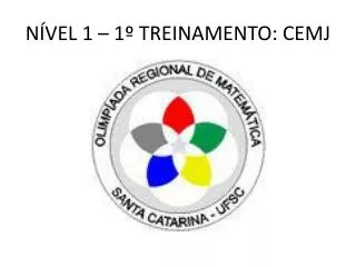 n vel 1 1 treinamento cemj