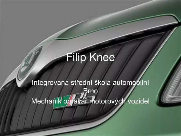 filip knee