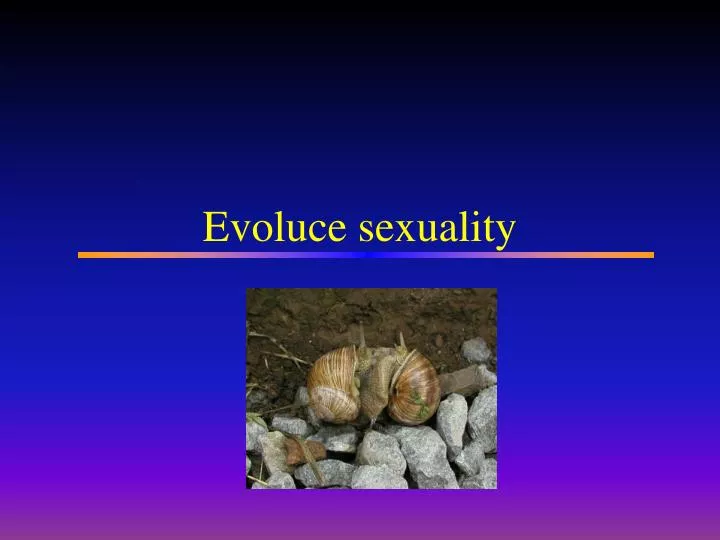 evoluce sexuality