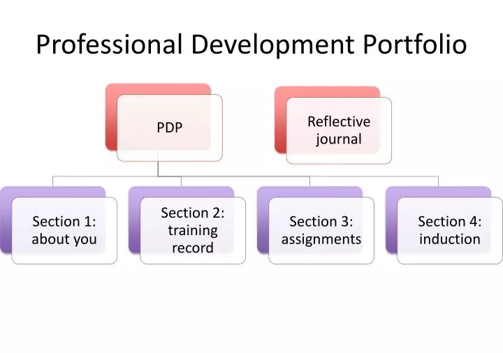 professional development portfolio
