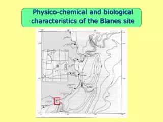 Physico-chemical and biological characteristics of the Blanes site