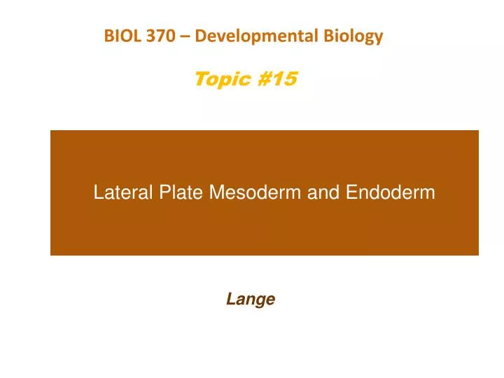 lateral plate mesoderm and endoderm
