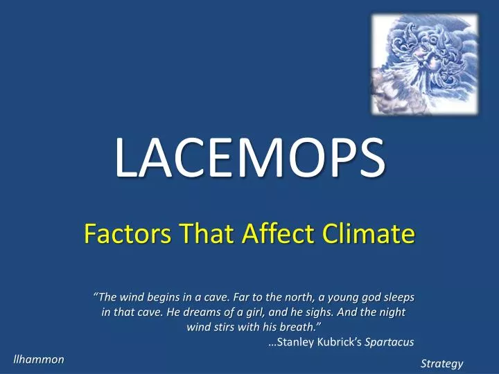 lacemops