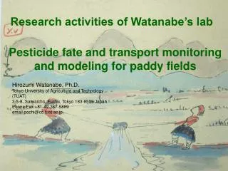 Pesticide fate and transport monitoring and modeling for paddy fields