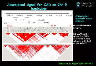 Associated signal for CAD on Chr 9 - haploview
