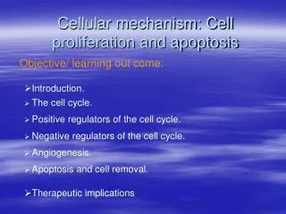 Cellular mechanism: Cell proliferation and apoptosis