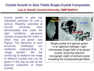 Single crystal of ?-glycine grown