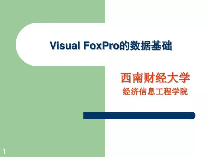 visual foxpro