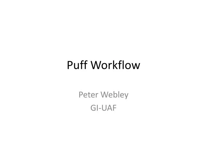 puff workflow