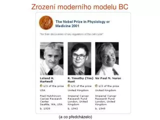 zrozen modern ho modelu bc