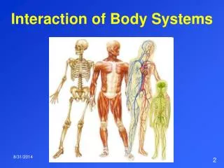 Interaction of Body Systems