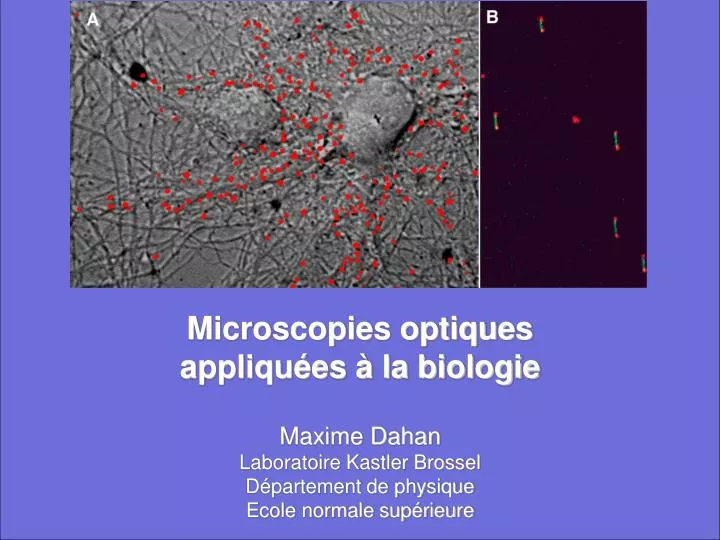 microscopies optiques appliqu es la biologie